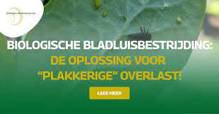 biologische bladluisbestrijding