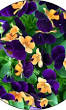 pot bloemen voor buiten