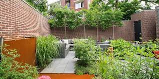 tuin