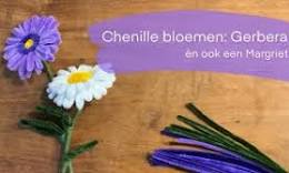 gerbera bloem