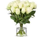 witte rozen