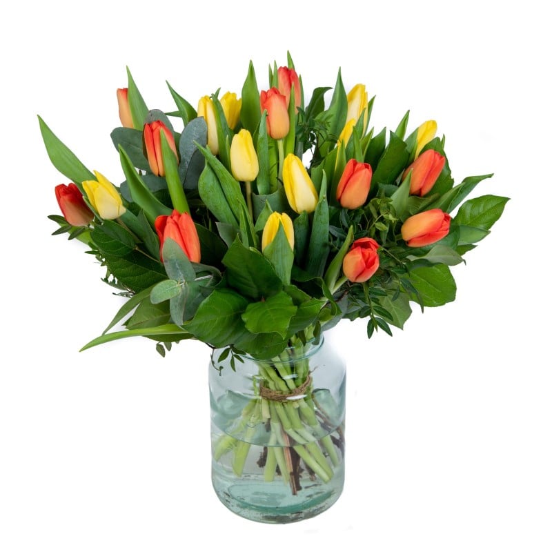tulpen boeket