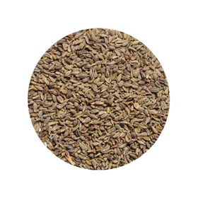 biologische kruiden online