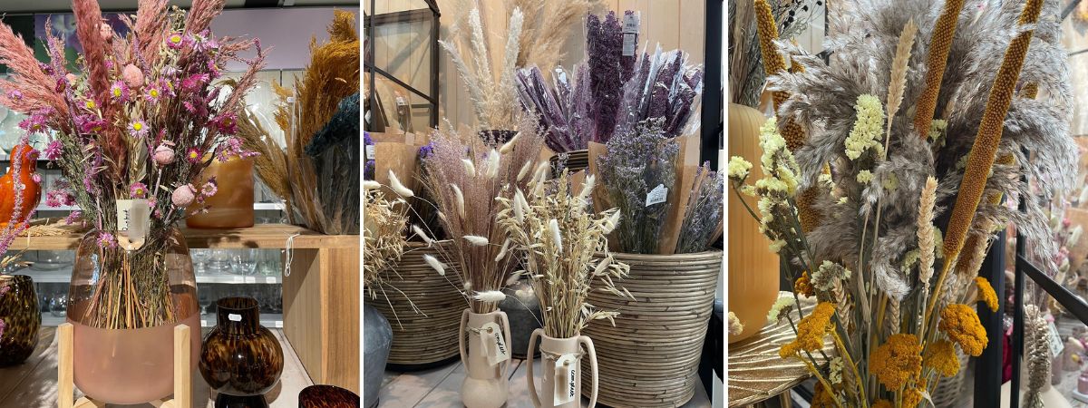 droogbloemen soorten