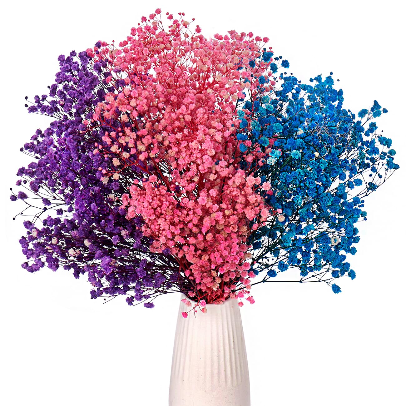 droogbloemen gipskruid