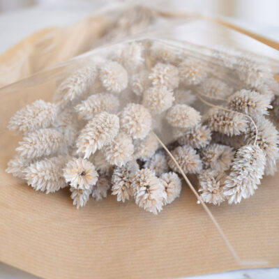 soorten droogbloemen