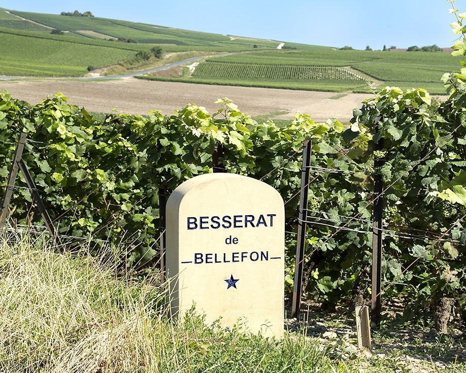 heisterkamp wijn