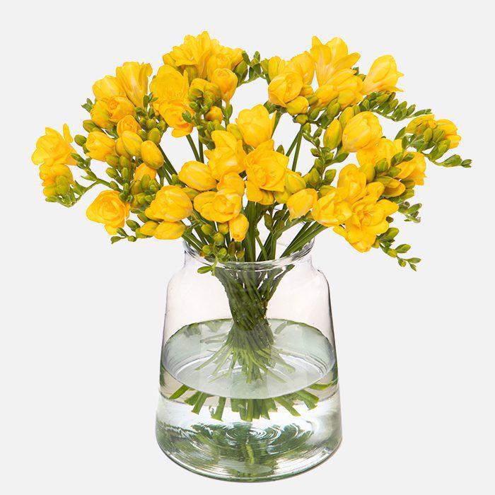 bos bloemen kopen