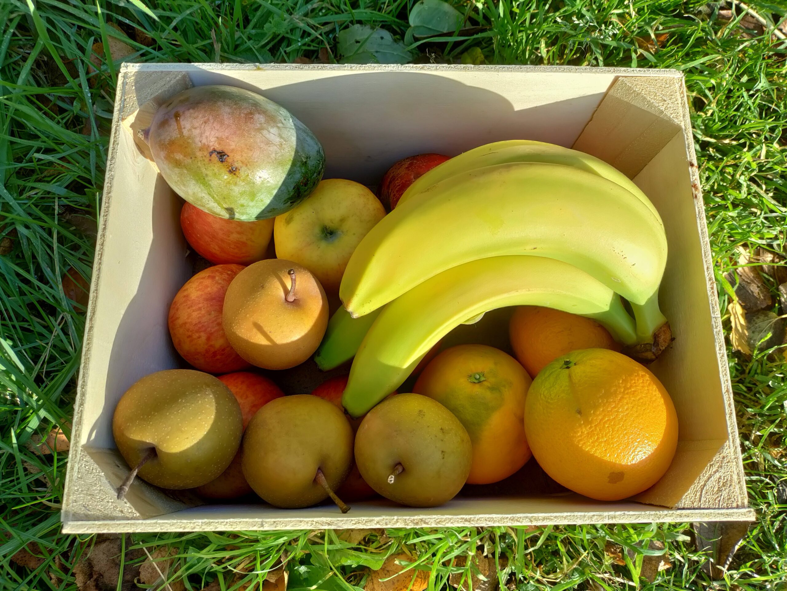 biologisch fruitpakket