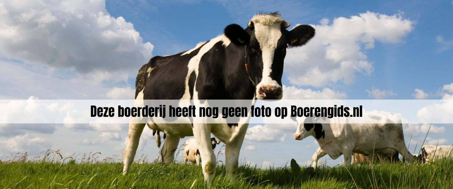 boerderijwinkel groenten van de boer